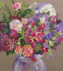 Asters